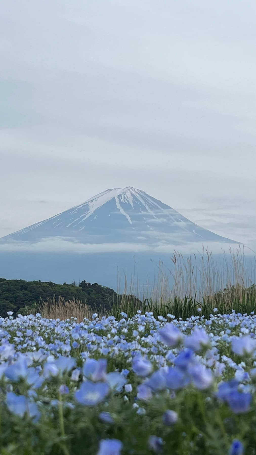 Japan trip photo 9, May 2024