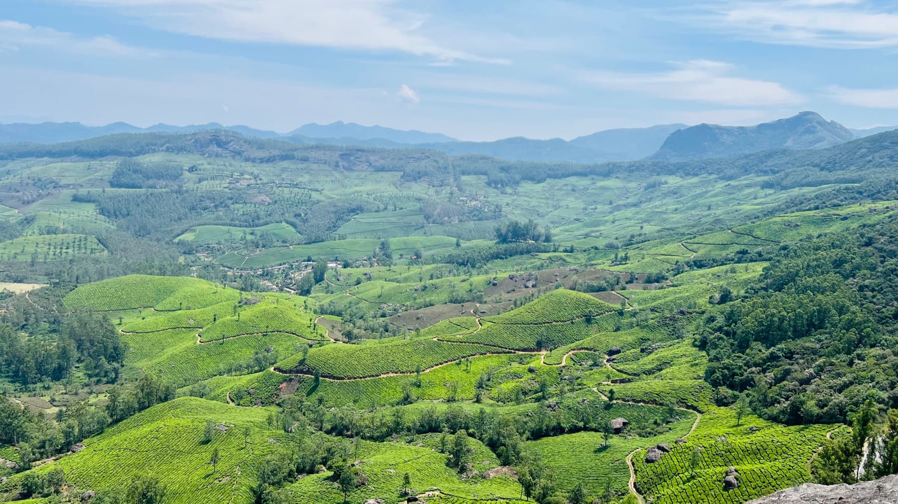 Munnar, Kerala trip photo 9, April 2026