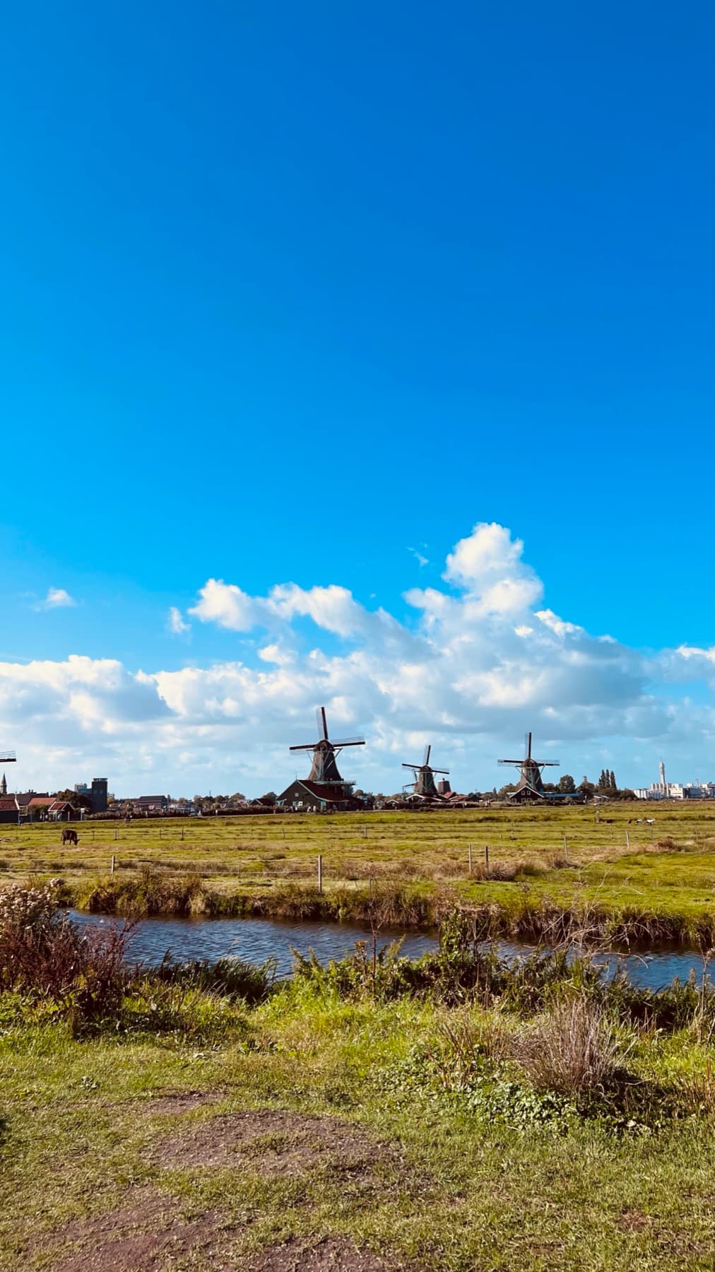Netherlands trip photo 6, September 2022