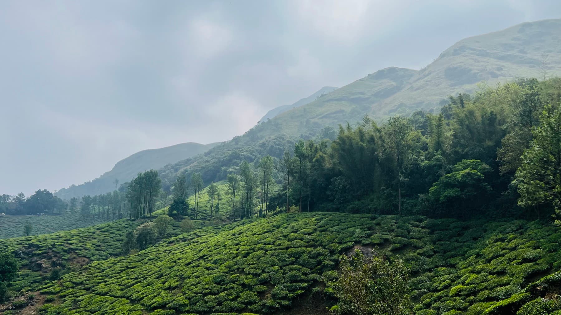 Wayanad, Kerala trip photo 11, September 2025