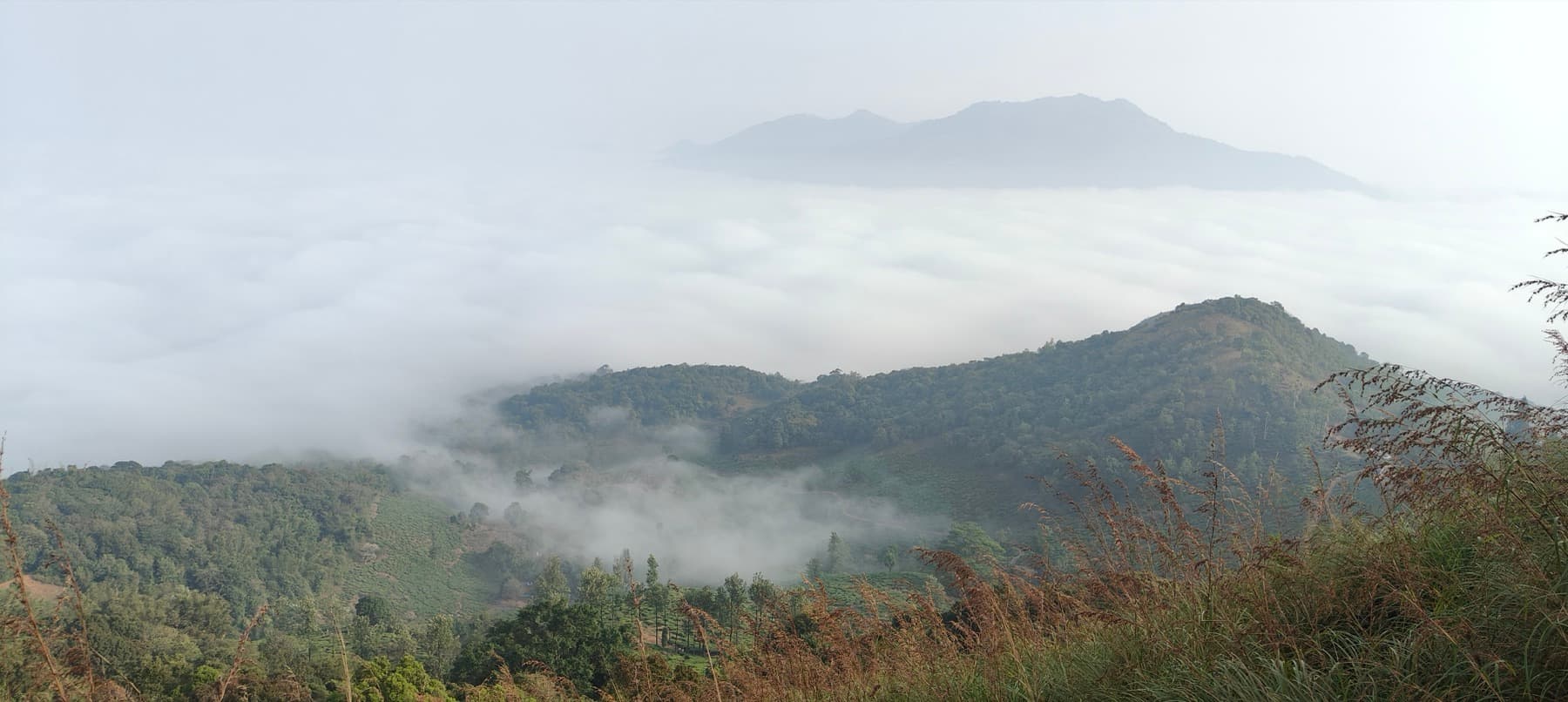 Wayanad, Kerala trip photo 12, September 2025
